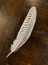 Load image into Gallery viewer, Classic Single Black & White Hat Feather