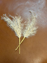 Load image into Gallery viewer, Oatmeal Cluster Hat Jazz