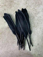 Load image into Gallery viewer, Midnight Black Hat Jazz - Feather