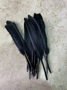 Midnight Black Hat Jazz - Feather