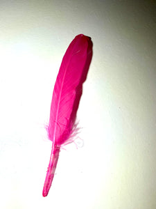 Hot Pink Hat Jazz Feather