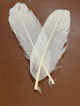 Load image into Gallery viewer, Snow Shine Medium Feather Hat Jazz