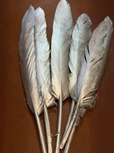 Load image into Gallery viewer, Medium Silver Metallic Painted Feather Hat Jazz