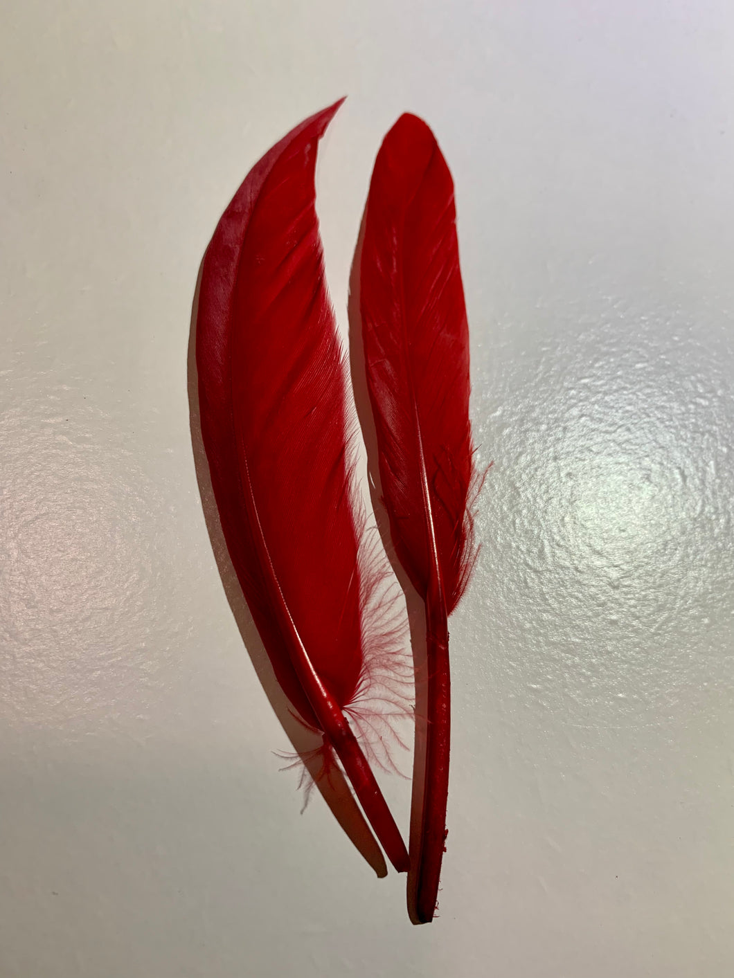 Red Hat Jazz Feather