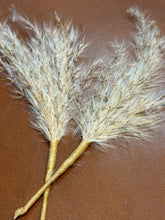 Load image into Gallery viewer, Oatmeal Cluster Hat Jazz