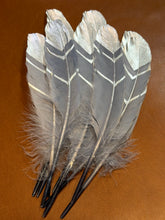 Load image into Gallery viewer, Large Silver Springs Painted Feather Hat Jazz