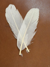 Load image into Gallery viewer, Snow Shine Medium Feather Hat Jazz