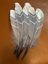 Load image into Gallery viewer, Large Silver Springs Painted Feather Hat Jazz