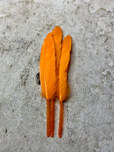 Load image into Gallery viewer, Orange Blue Hat Jazz Feather