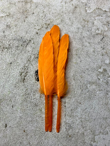 Orange Blue Hat Jazz Feather