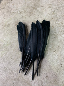 Midnight Black Hat Jazz - Feather