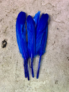 Royal Blue Hat Jazz Feather
