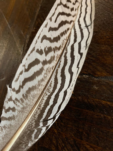 Classic Single Black & White Hat Feather