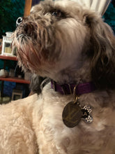 Load image into Gallery viewer, “The Stella” Vintage Louis Vuitton Dog Charm